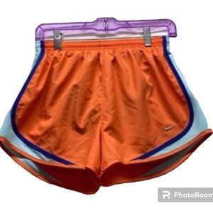 Nike Dri-Fit Shorts (M)